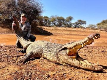 Big Nile crocodile trophy