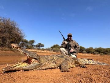 Big trophy South Africa Crocodile