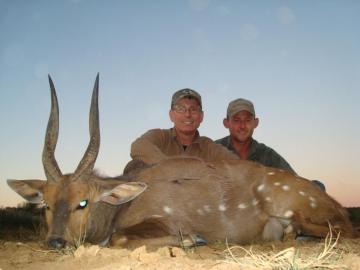 Trophy Bushbuck