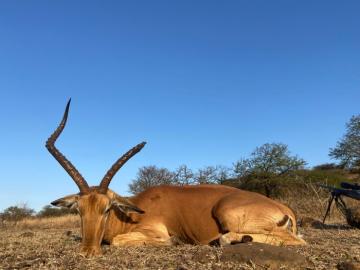 cull hunt animals in kwazulu-natal