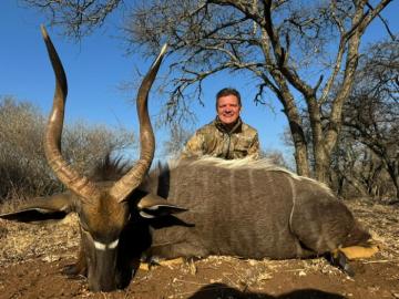 African Nyala Hunt