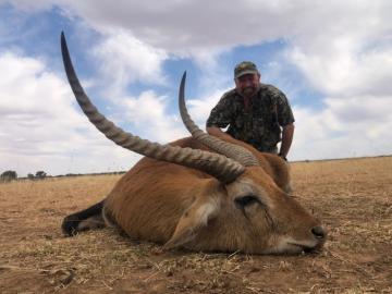 Trophy Red Lechwe