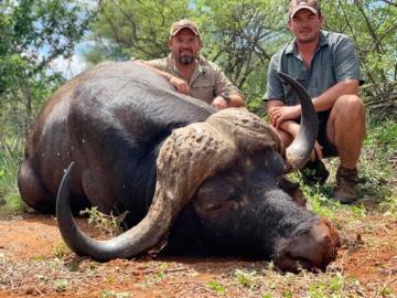 Africa Buffalo Hunting