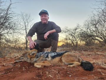 Hunt Jackal at Night in Africa