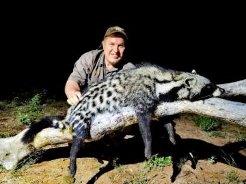 African Civet Hunt