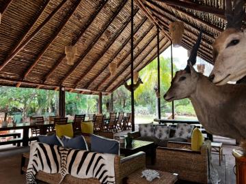 Hunting at Night in Africa Lodge