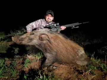 Hunting African Bushpig