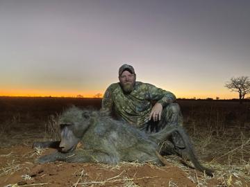 Baboon Nighttime Hunt in Africa