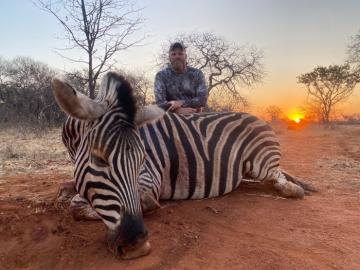Zebra hunting packages in Africa