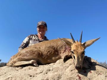 Hunt duiker in south Africa