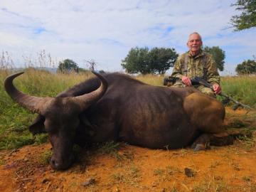 Hunt Cape Buffalo cheap in South Africa
