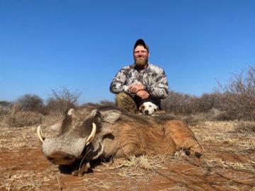 Warthog trophy in South Africa