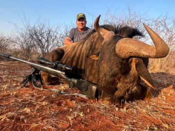 blue wildebeest affordable hunt in Africa
