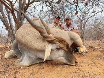 Hunt Eland in South Africa plains game