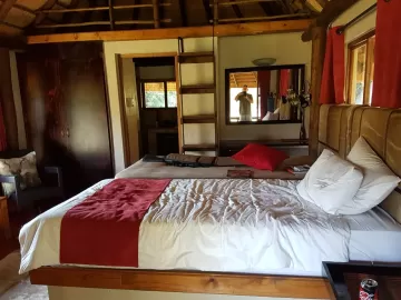 lodge for free range kudu hunt