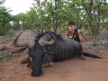 hunt blue wildebeest in a plains game hunting package