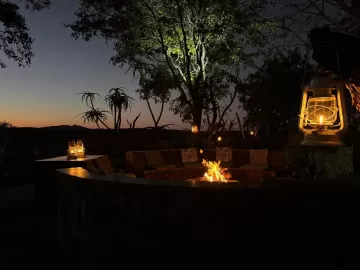 nighttime animal hunting area