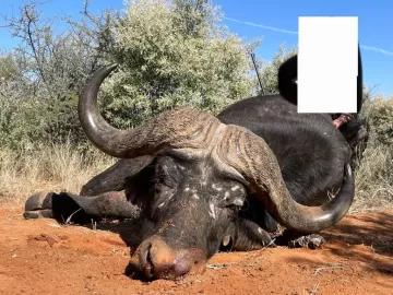 south african hunting safari