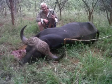 hunt cape buffalo in south africa