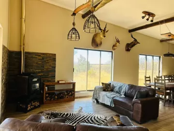 hunt for cape buffalo in south africa