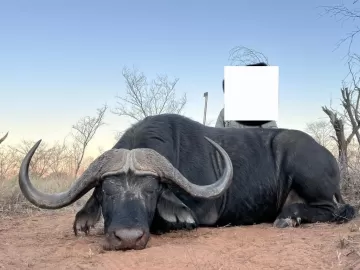 hunt cheap game in south africa