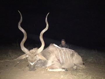 south african kudu hunt