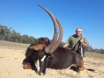 african sable trophy photo