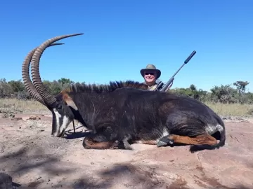 hunt big sable in africa