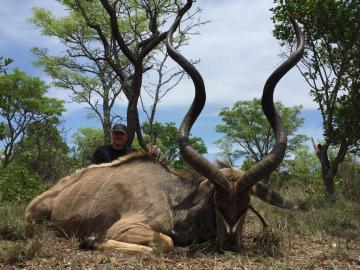 kudu hunting south africa