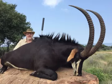 sable trophy