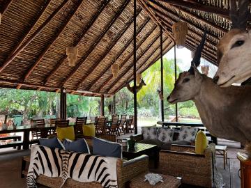 Cape Buffalo cow hunting lodge