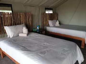 Hippo Hunt Camp