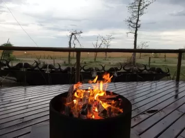 Hunting camp for dangerous game