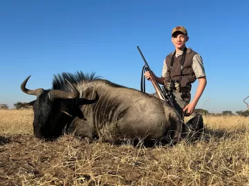 blue wildebeest hunt in Namibia
