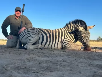 zebra trophy in namibia