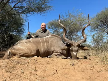 free range kudu trophy in Namibia