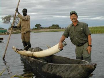 Nice Caprivi Strip ivory! Nice Caprivi Strip ivory!