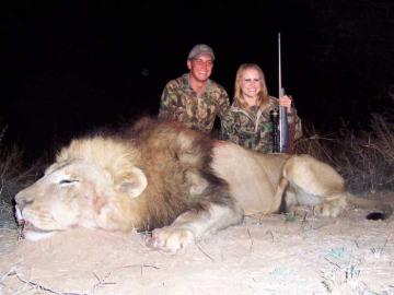Hunt Your African Lion Now! 2