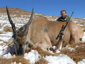 Cape Eland Trophy with Snow