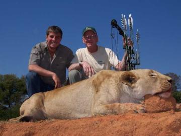 Hunt Your African Lion Now! 5