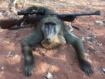 South Africa 10-Day 5 Animal Limpopo Hunting Safari 13