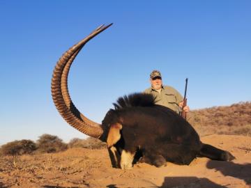 Introductory Hunting Safari Trophy Sable