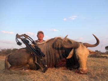 Kings Wildebeest taken with a crossbow