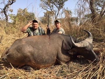 Savanna Buffalo Trophy in Cameroon