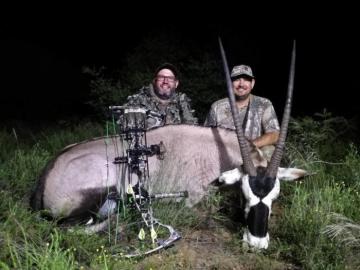 Free-range gemsbok bow trophy in Namibia