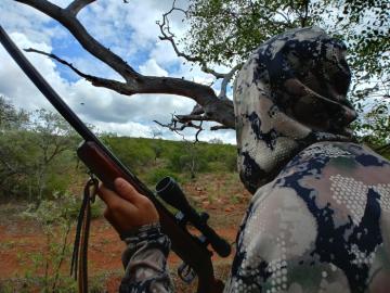 Stalking a kudu