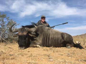 Blue Wildebeest Trophy