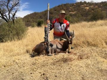 Tented Camp Blesbuck