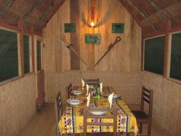 A Giant tree in Cameroon's Rain Forest