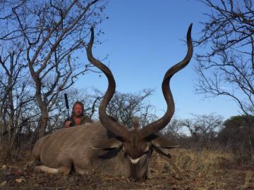 Big kudu trophy